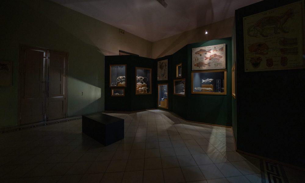 Autism-friendly measures introduced at two Heritage Malta museums
