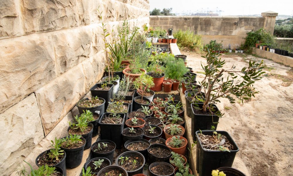 Heritage Malta acts on employee’s idea for a greener environment