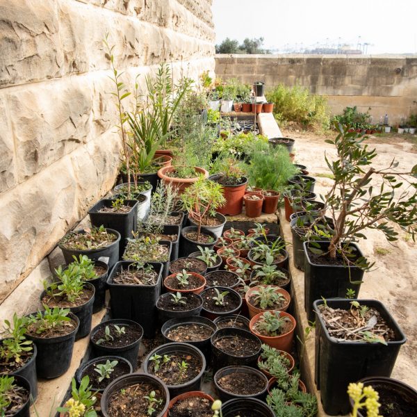 Heritage Malta acts on employee’s idea for a greener environment