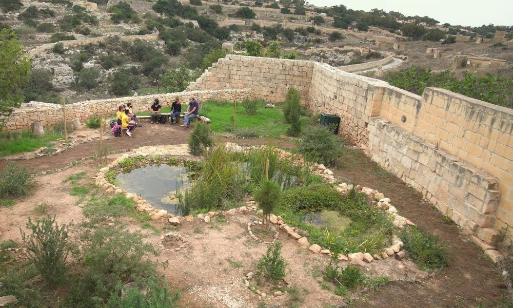 A new garden offers an alternative educational experience at Għar Dalam