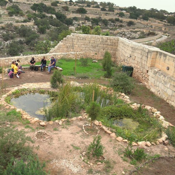 A new garden offers an alternative educational experience at Għar Dalam