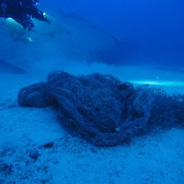 Underwater heritage site freed of encumbering net