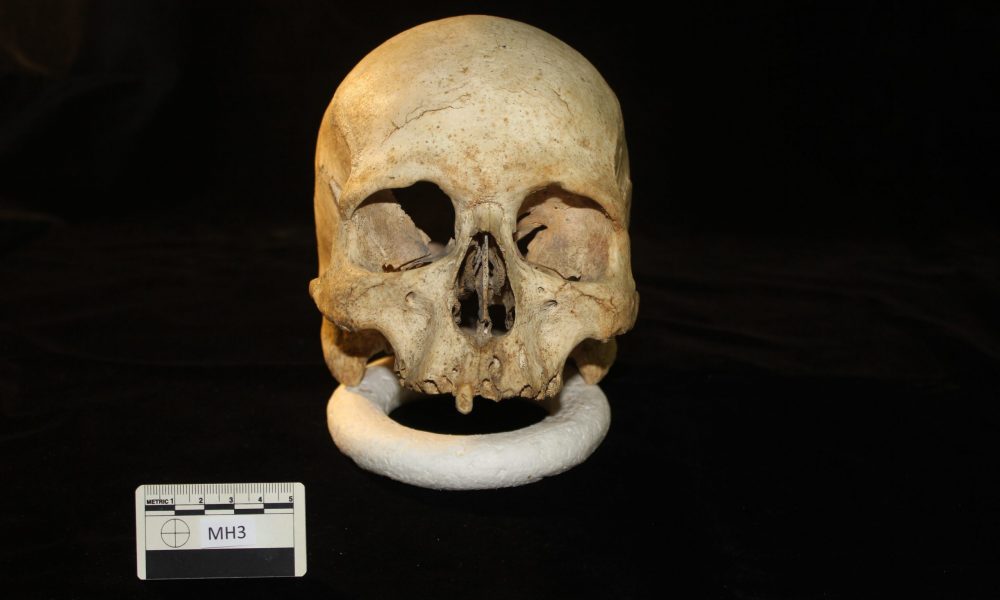 Hypogeum skulls exhibition extended till end of October