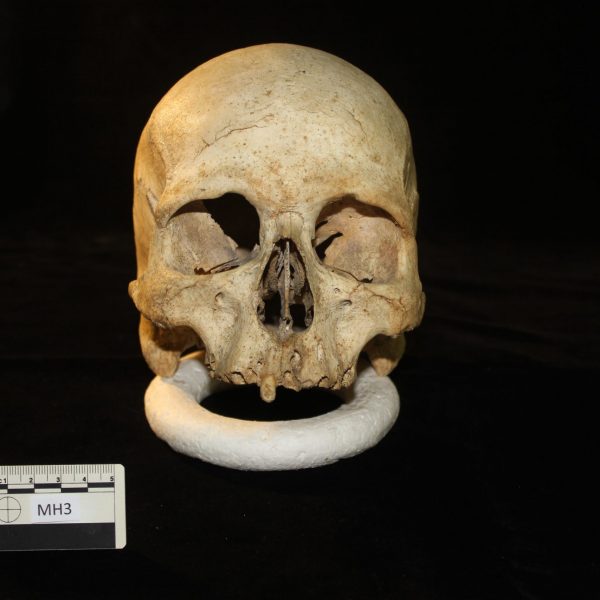 Hypogeum skulls exhibition extended till end of October