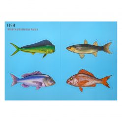 Bookmark: (set of 4) Fish