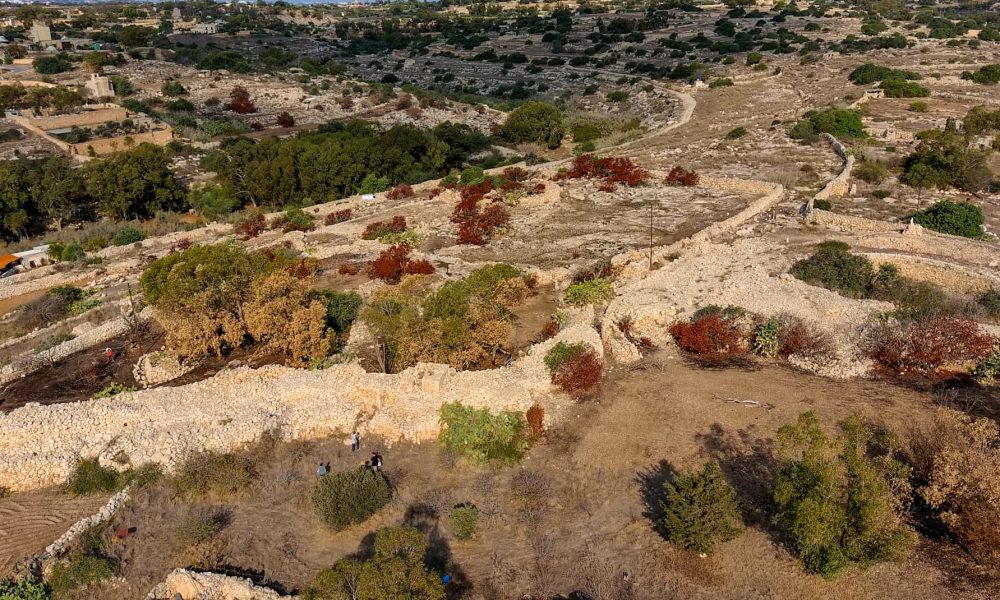 Heritage Malta acquires remains of Bronze Age village buried at Borġ in-Nadur