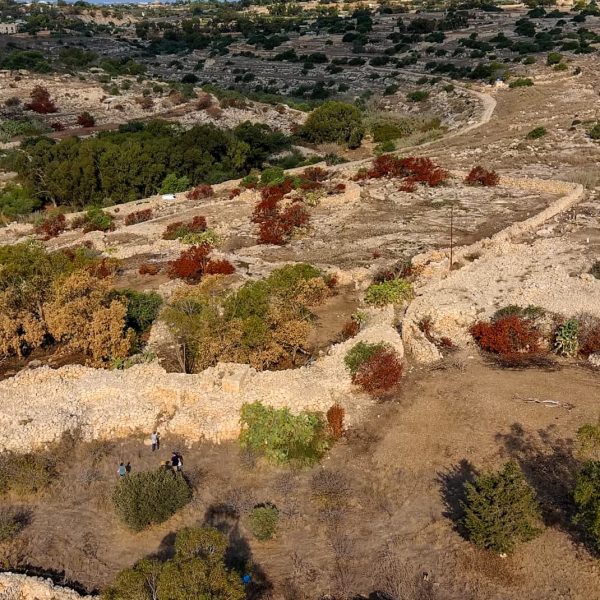 Heritage Malta acquires remains of Bronze Age village buried at Borġ in-Nadur